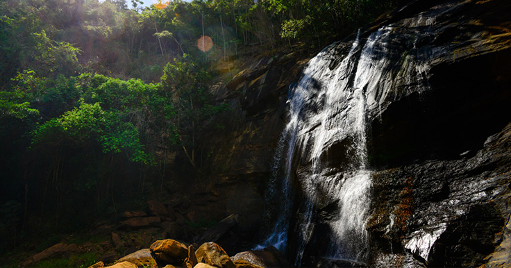 Descubra os inúmeros benefícios de morar em meio à natureza