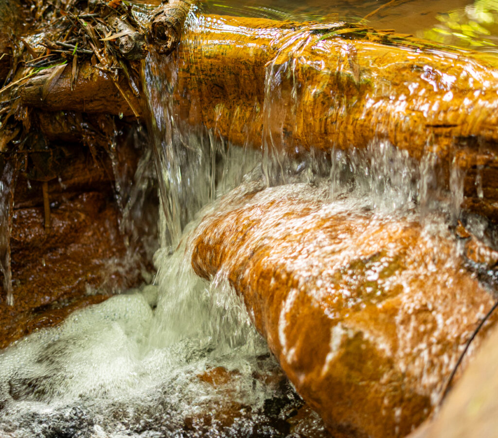 Sustentabilidade Começa em Casa – Dicas